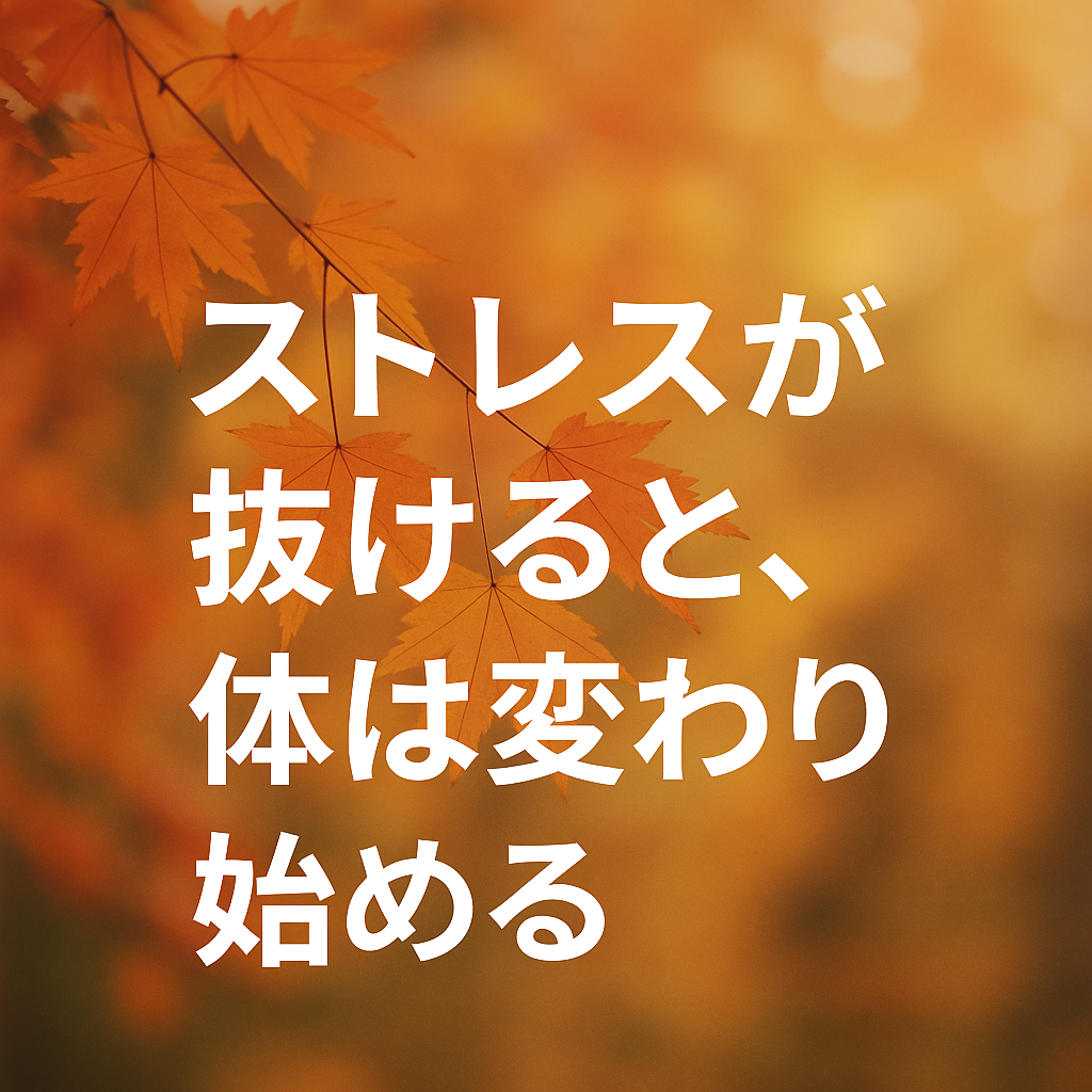 ストレスが抜けると、体は変わり始める chatgpt image 2025年10月24日 23 08 32